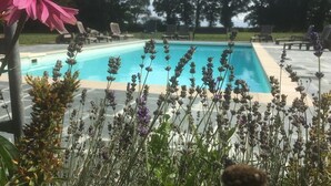Une piscine avec des chaises longues et une composition florale au premier plan.