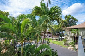 Property grounds - Kihei Bay Surf B212: Beachside Studio w/ Pool & Lanai (Kihei)