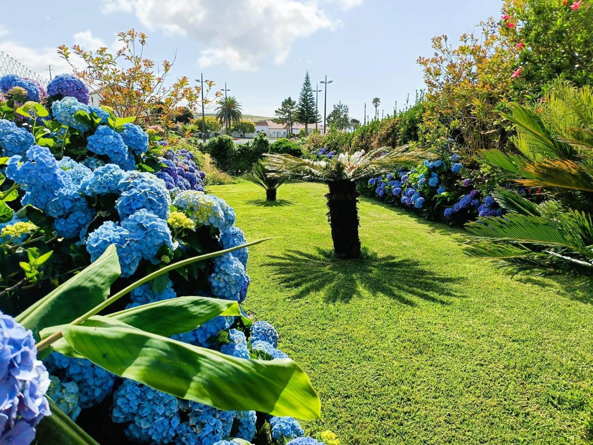 Khuôn viên nơi lưu trú