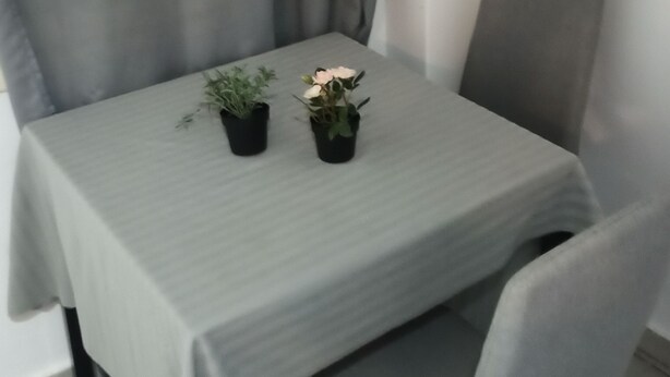 A dining table with a light green tablecloth, two potted plants, and a grey upholstered chair. - Renovated Studio Heart of City (Thessaloniki)