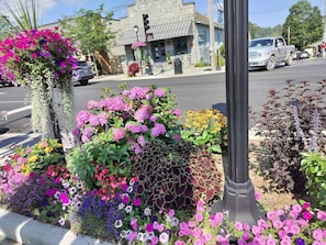 Una calle con un parterre floral, un semáforo y un edificio con un letrero.