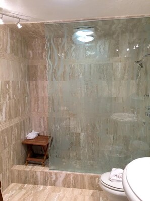 Shower, hair dryer, towels - Beach Front Condo with lovely sunset view (Sarasota)