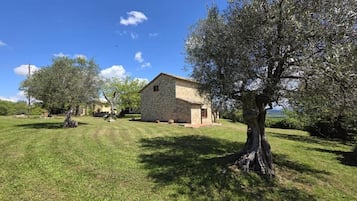 Esterni