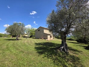 Exterior - Panoramic country Villa 6/8 people in Tuscany, bbq wood-fired oven, heating, A/C (Sarteano)