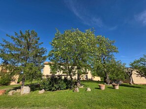 A well-maintained garden with a variety of trees and shrubs, a clear blue sky, and a building with a light-colored facade in the background.