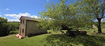 Panoramic country Villa 6/8 people in Tuscany, bbq wood-fired oven, heating, A/C