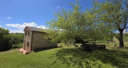 Panoramic country Villa 6/8 people in Tuscany, bbq wood-fired oven, heating, A/C