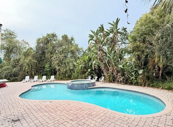 Outdoor pool - Poolside Guest Suite in Mansion with Private Entrance & En-Suite Bathroom. (Tampa)