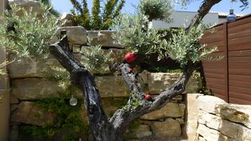 Overnatningsstedets område