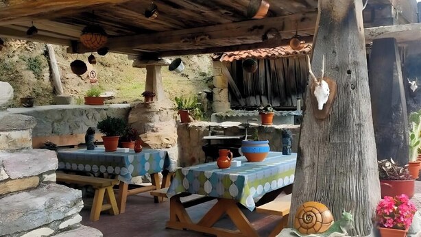 Un área de comedor al aire libre de estilo rústico, con paredes de piedra, mesas de madera y plantas en macetas.