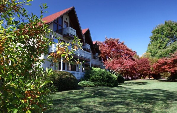 Parco della struttura