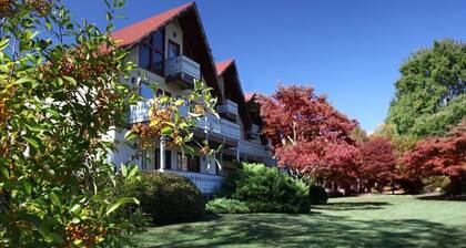 Alpine Helen Georgia, beautiful resort on the Chattahoochee River, 2 bedroom