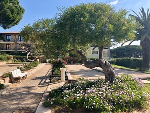 Property grounds - Bright apartment with pool in Roquebrune (Roquebrune-sur-Argens)