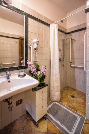 Shower, hair dryer, bidet, towels
