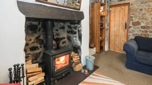 Una habitación acogedora con chimenea de piedra, estante de madera y sofá azul.
