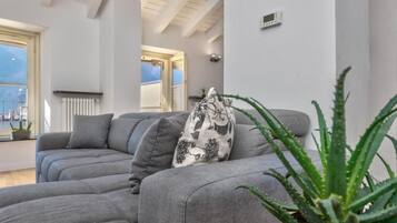 A modern living room with a grey sectional sofa, a patterned throw pillow, and a potted aloe plant.