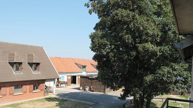 Una calle residencial con casas, un árbol y cielo despejado.