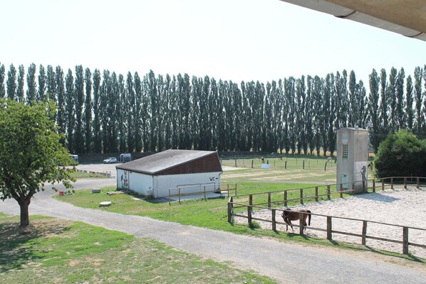 A rural farm with a barn, fenced paddock, and a tree.