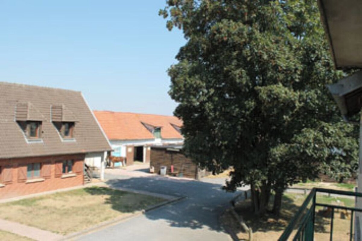 Bild für Gastgeberprofil