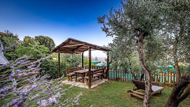 A wooden gazebo with benches and tables, surrounded by a grassy area and lavender plants. - AGRITURISMO CESANI (San Gimignano)