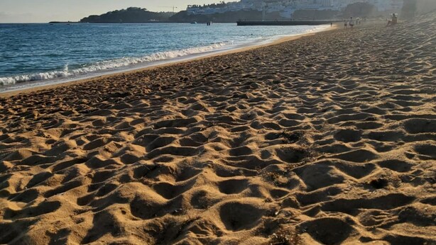Ein Strand mit blauem Himmel und strahlender Sonne.