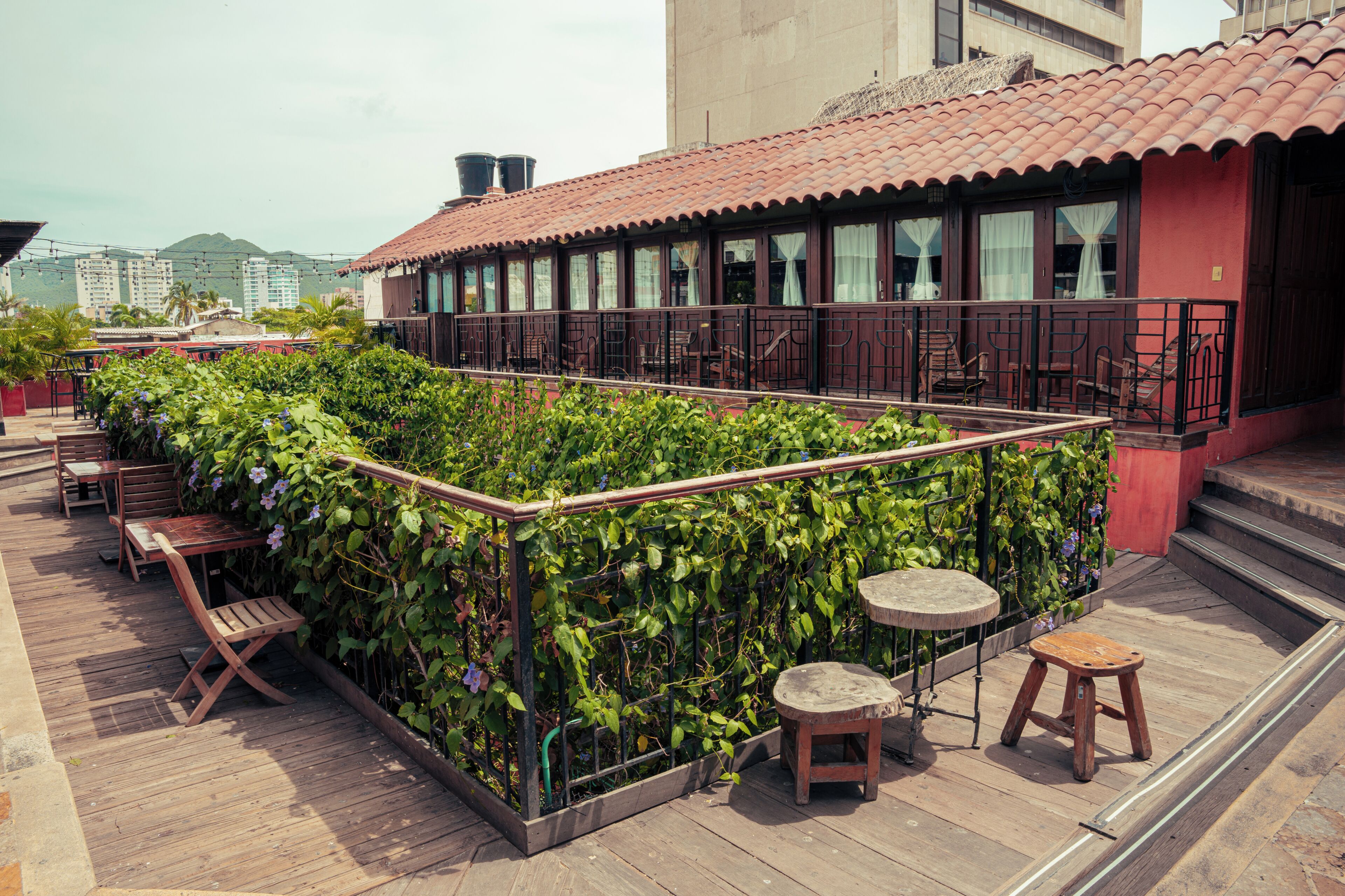 A rooftop terrace with wooden furniture, a climbing plant wall, and a view of buildings in the background.
