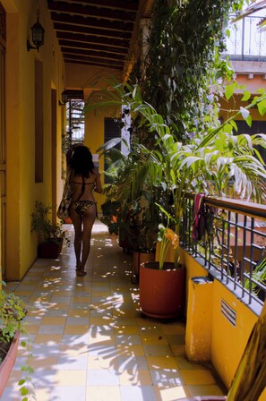 Enceinte de l’hébergement