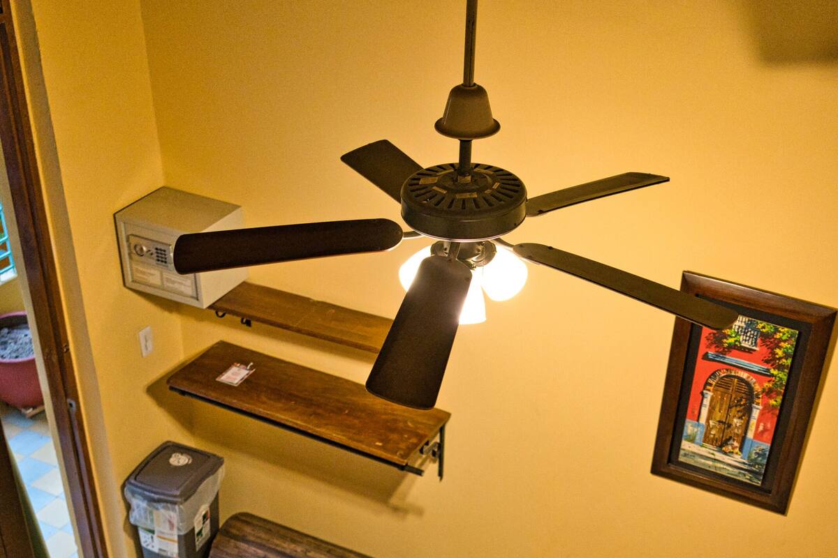 A bed with a ceiling fan, a small chest of drawers, and a framed picture on the wall.
