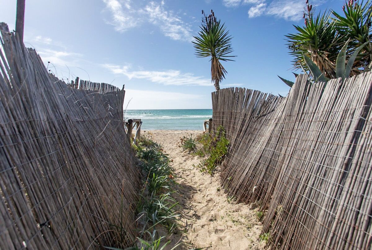 Playa en los alrededores 