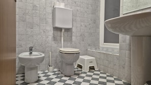 Un bany amb vàter, bidet i rentapel.
