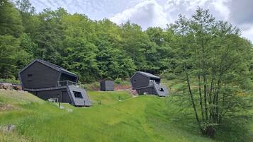 A modern cabin-style building with a sloped roof, surrounded by lush greenery and trees.