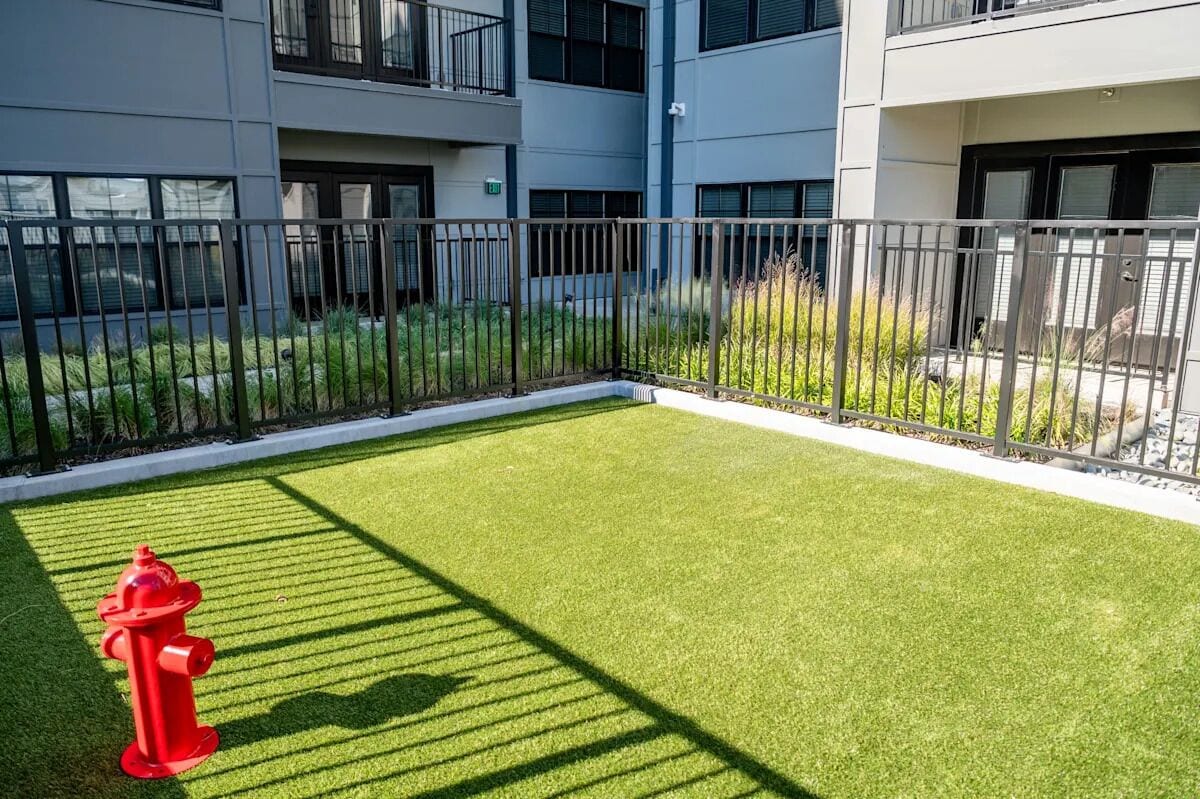 A modern building with a flat roof, large windows, and a fenced courtyard with artificial grass and a red fire hydrant.