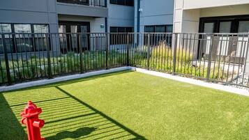 A modern building with a flat roof, large windows, and a fenced courtyard with artificial grass and a red fire hydrant.