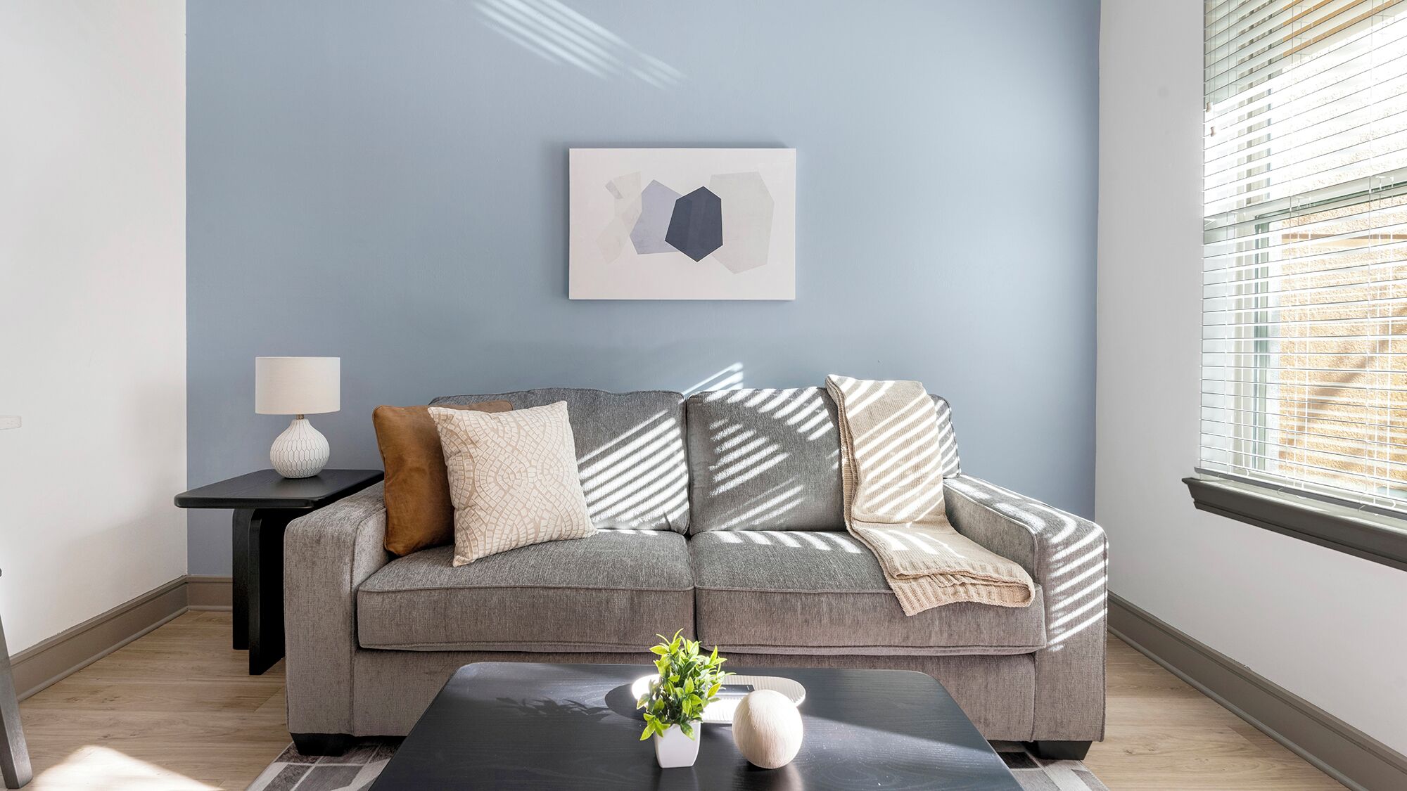 A living room with a grey sofa, a black coffee table, a small plant, and a lamp on a side table.