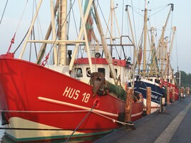 Puerto deportivo
