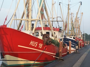 A row of boats docked at a marina. - Hekmat Apartments Fernsicht Schobüll (Husum)