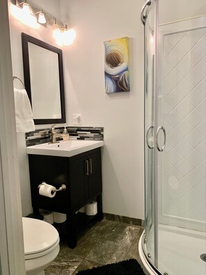 Shower, hair dryer, towels, soap