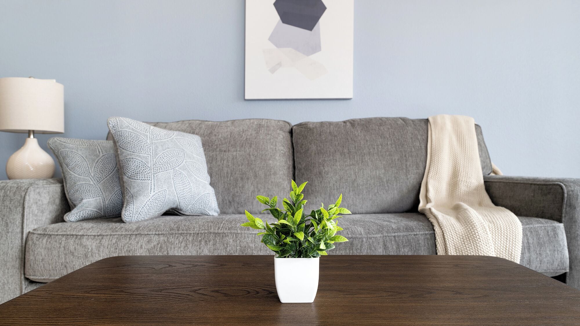 Căn hộ (2 Bedrooms) | Khu phòng khách | Smart TV 50-inch có truyền hình kỹ thuật số 