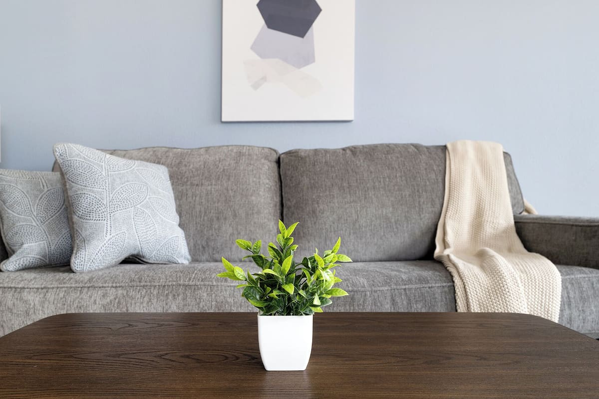 A grey sofa with patterned cushions, a white vase with green plants, and a wooden coffee table.