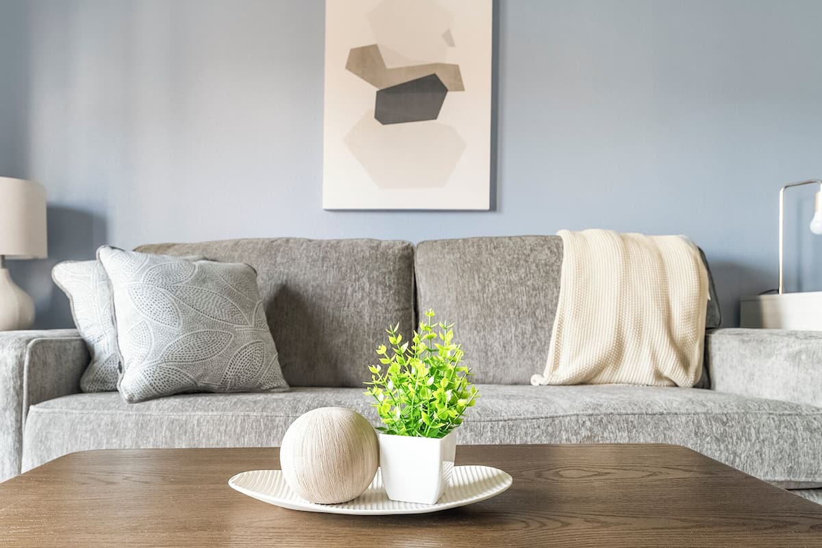 A modern living room with a grey sofa, a white side table, a lamp, and a small potted plant on a tray.