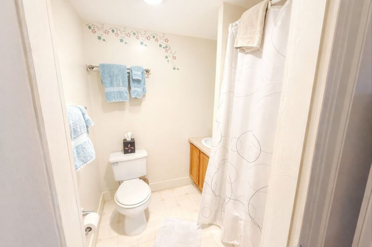 Sèche-cheveux, serviettes fournies, savon, papier toilette