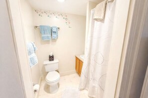 Sèche-cheveux, serviettes fournies, savon, papier toilette