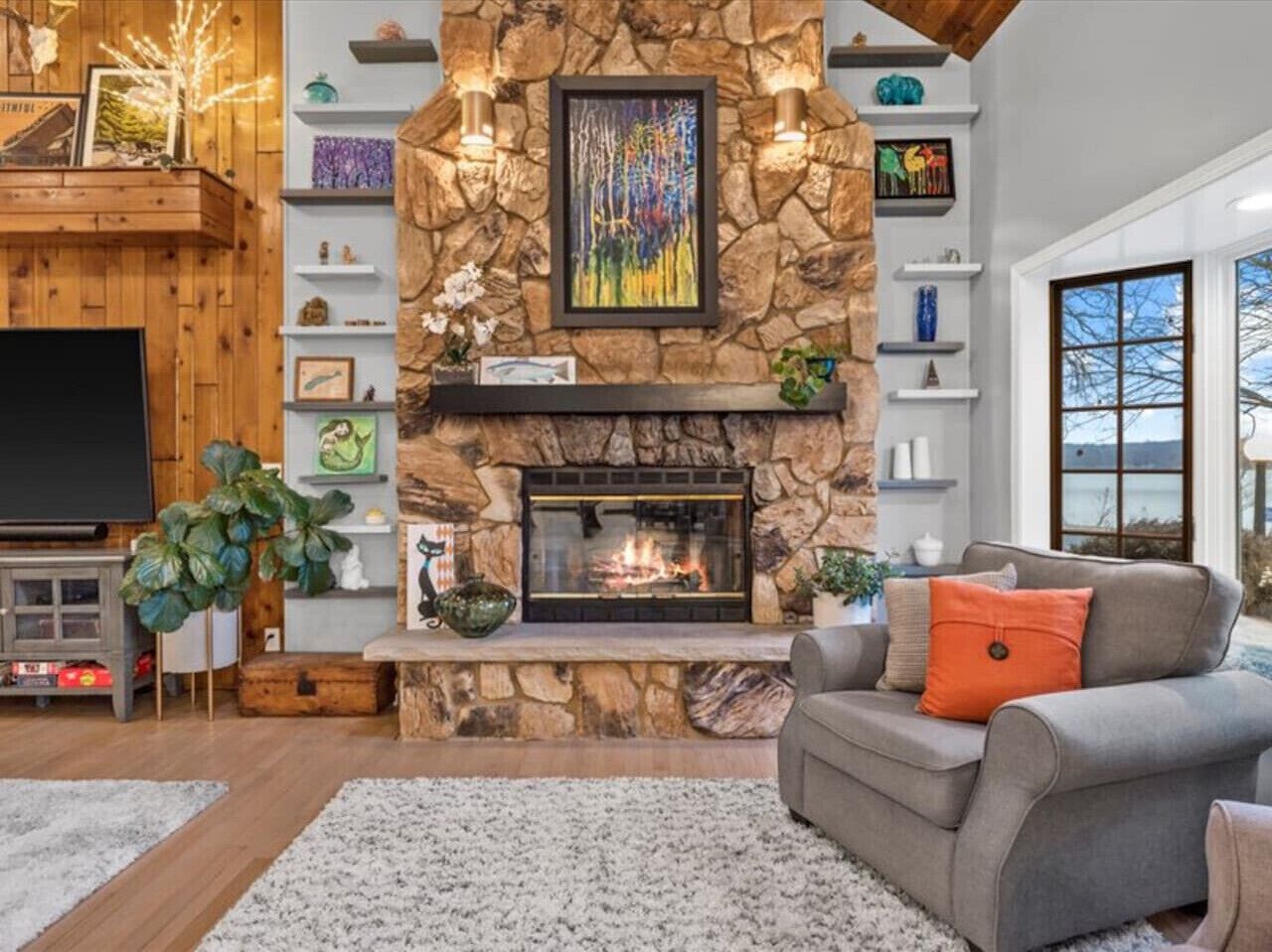 Télévision, cheminée, lecteur de DVD, livres