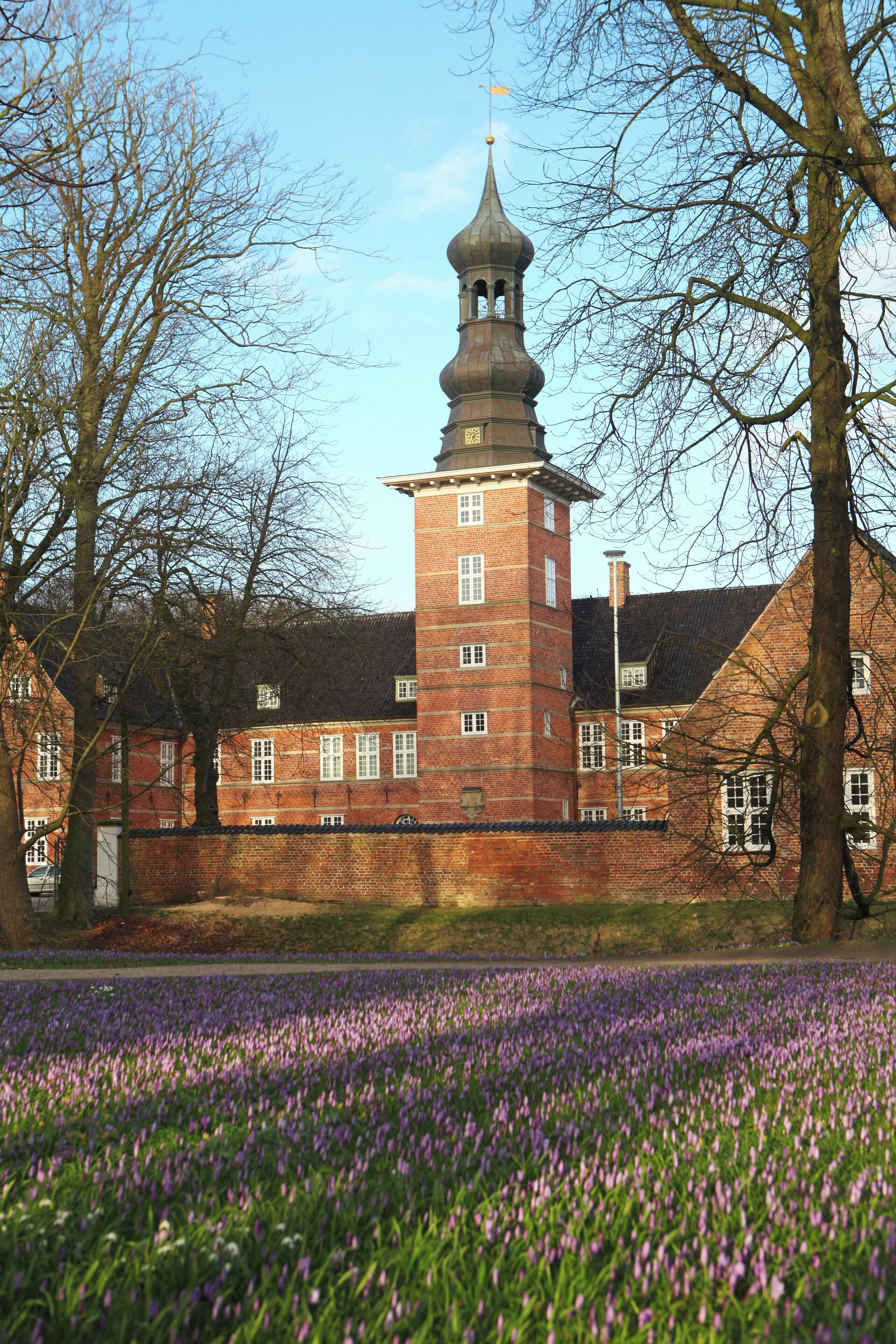 Un bâtiment historique doté d’une tour imposante, avec un champ de fleurs violettes au premier plan.