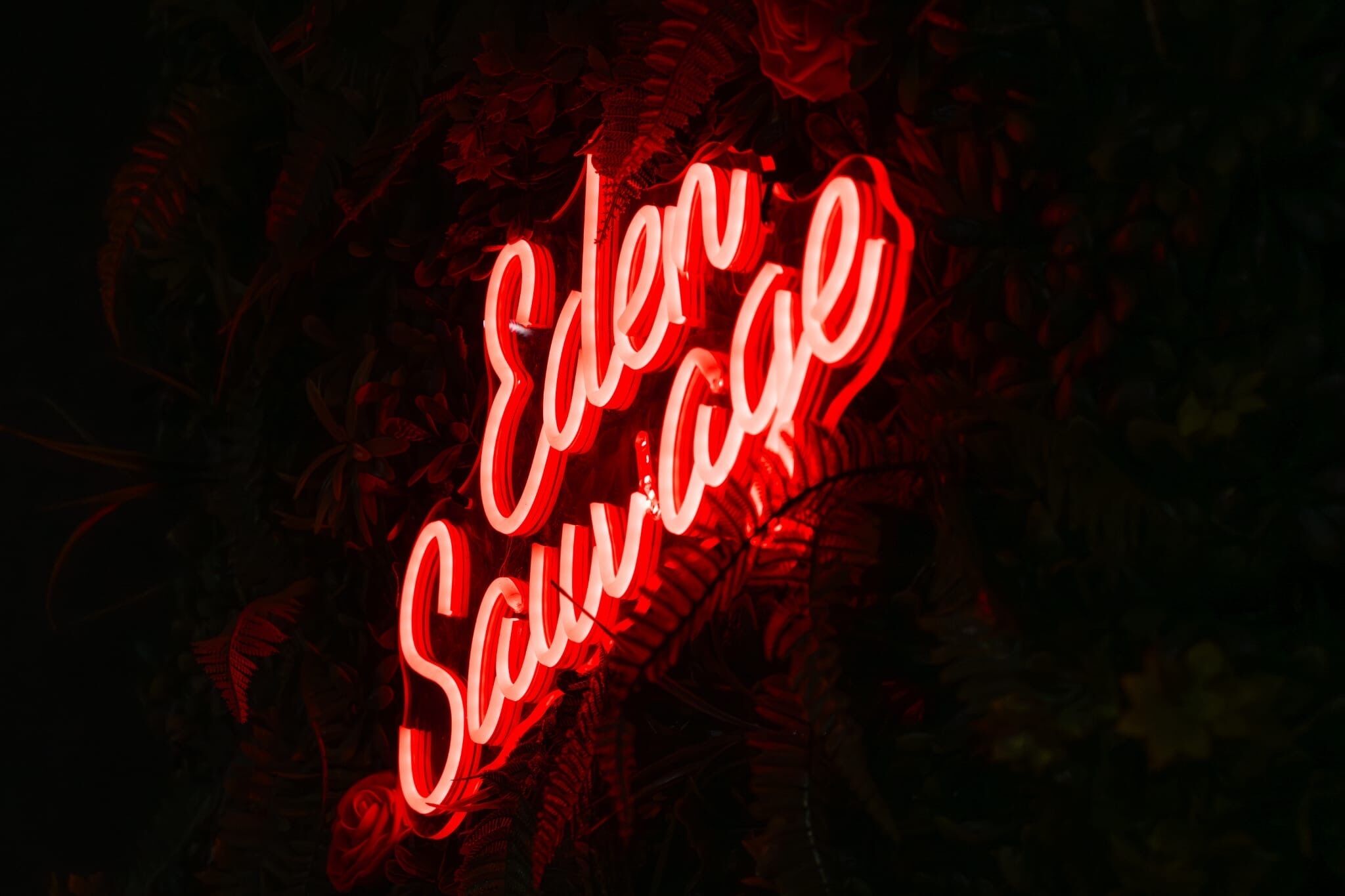 Une enseigne au néon avec le texte « Eden Sauvage » écrit en caractères cursifs, le tout sur un fond sombre agrémenté de feuillage.