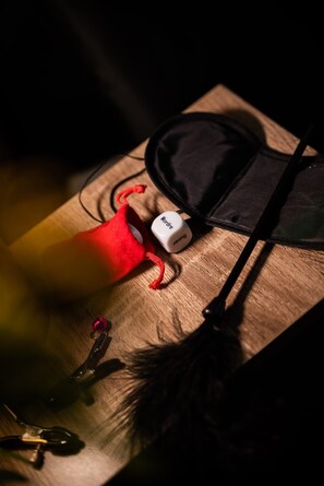 Sèche-cheveux, serviettes fournies, savon, papier toilette