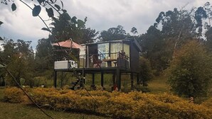 A modern house with a deck, surrounded by greenery.