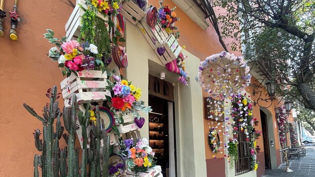 Ein Gebäude mit Kakteen, Blumenarrangements und einer Kopfsteinpflasterstraße.