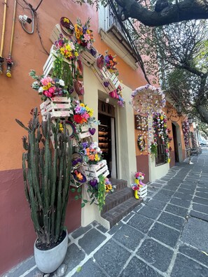 A building with a cactus, flower arrangements, and a cobblestone street. - Beautiful suite in the heart of San Angel. Perfect for couples! (Ciudad de México)