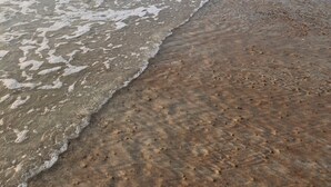 Uma praia com ondas batendo na costa e uma pessoa se afastando da câmera.